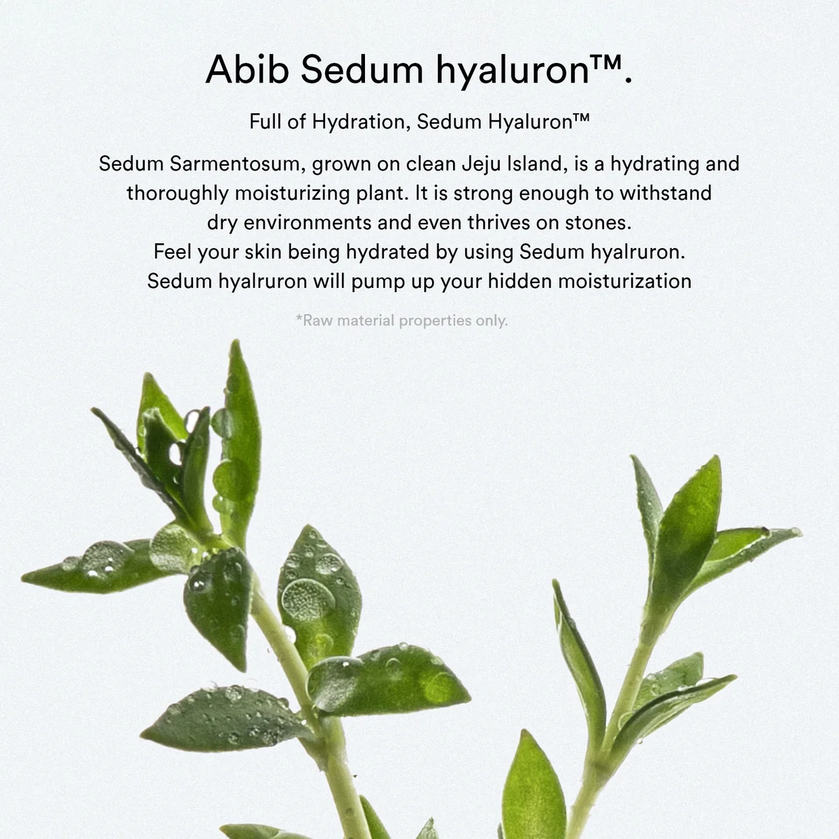 Abib – Sedum Hyaluron Pad Hydrating Touch