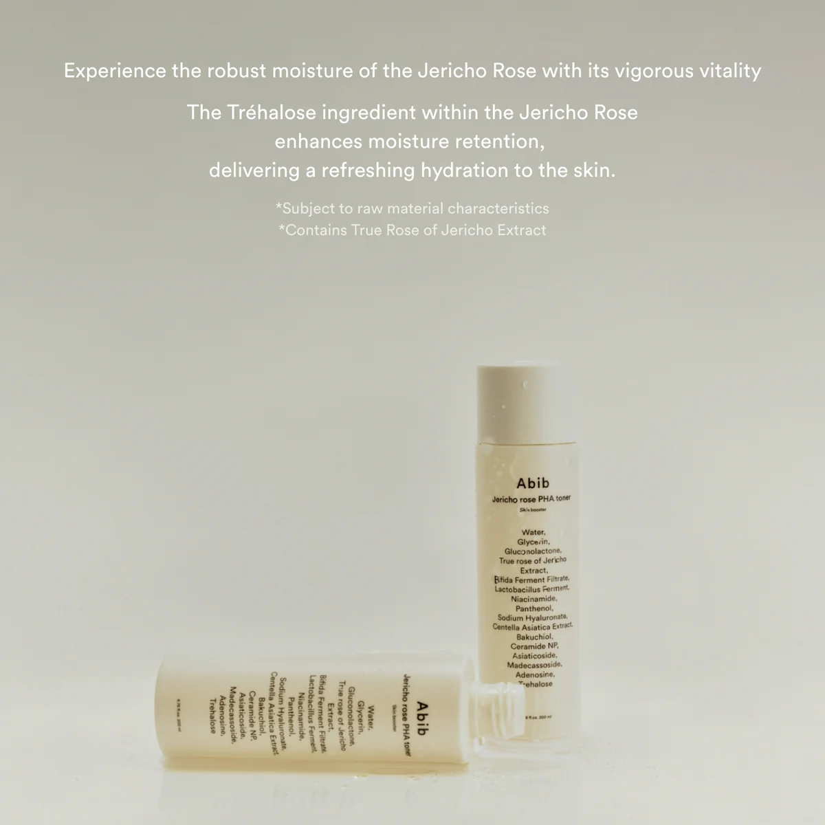 Abib - Jericho Rose PHA Toner Skin Booster
