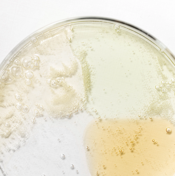 Beauty of Joseon Hanbang Serum Discovery Kit