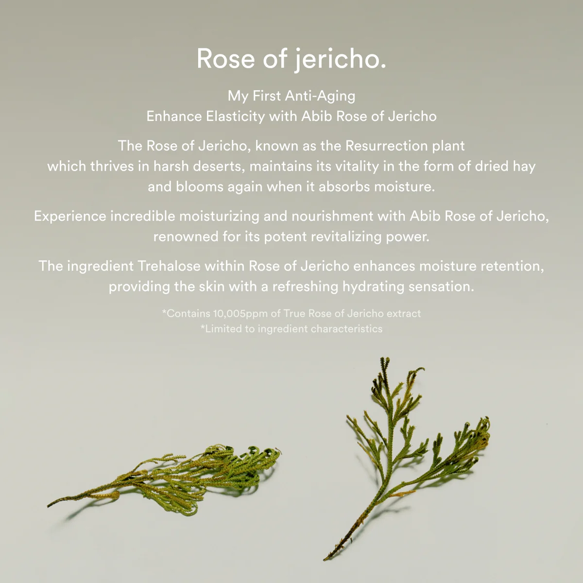 Abib – Collagen Eye Crème Jericho Rose Tube (30 ml)